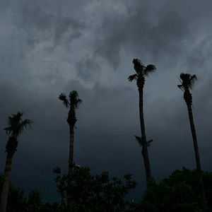 Meet your Posher, Moises